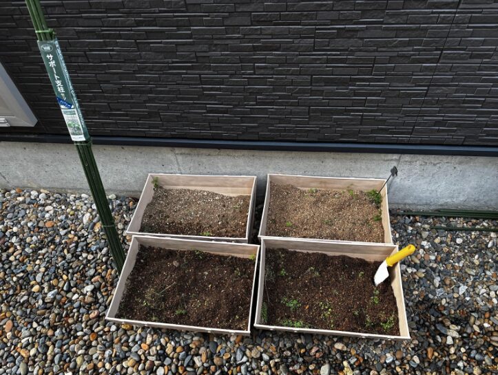 続けるほど家庭菜園はコストパフォーマンスがよくなる